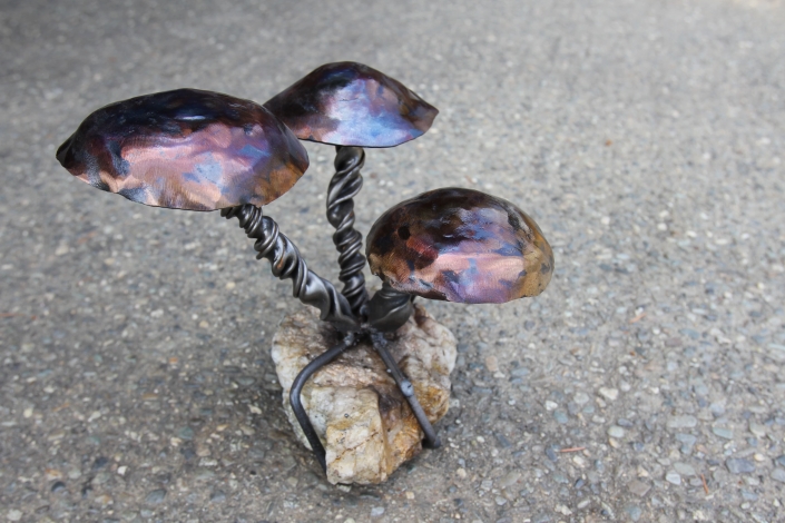 Mushrooms on rock